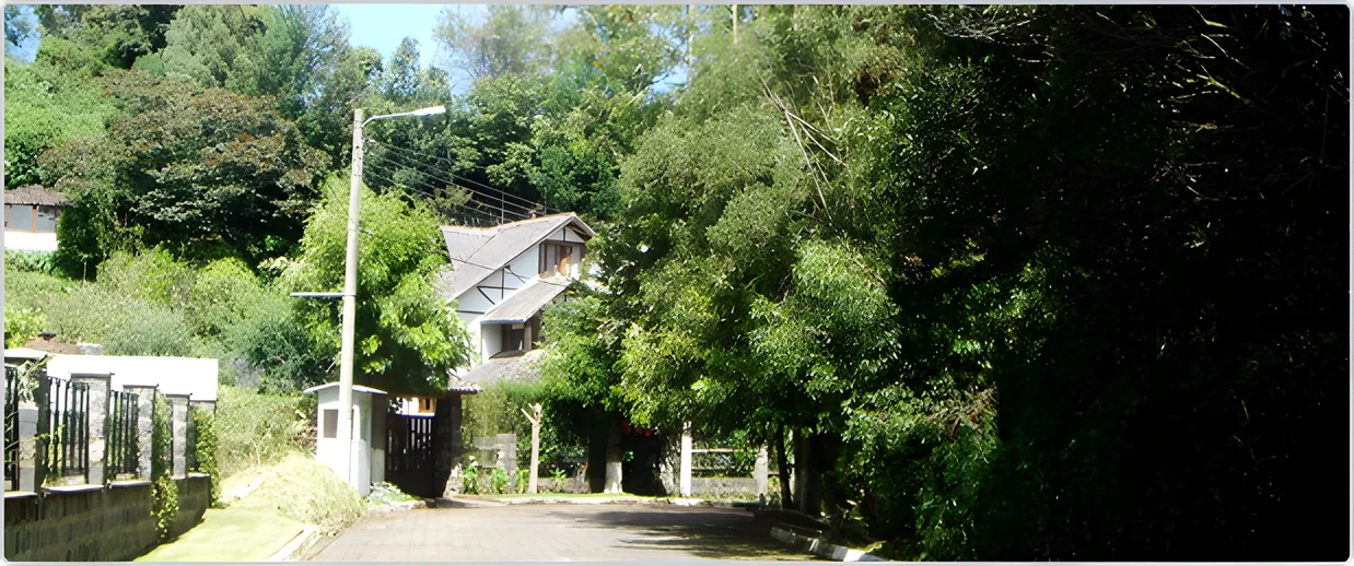 Camino bordeado de árboles con una casa detrás, Portal de Los Chillos 1