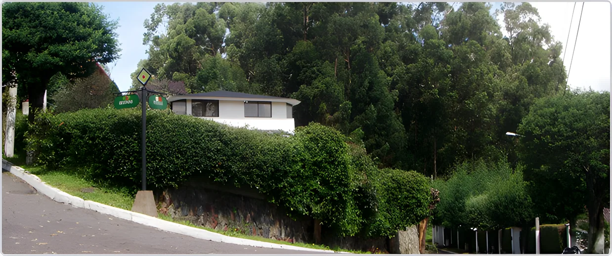 Muro de seto verde y una casa blanca entre árboles, Portal de Los Chillos 2