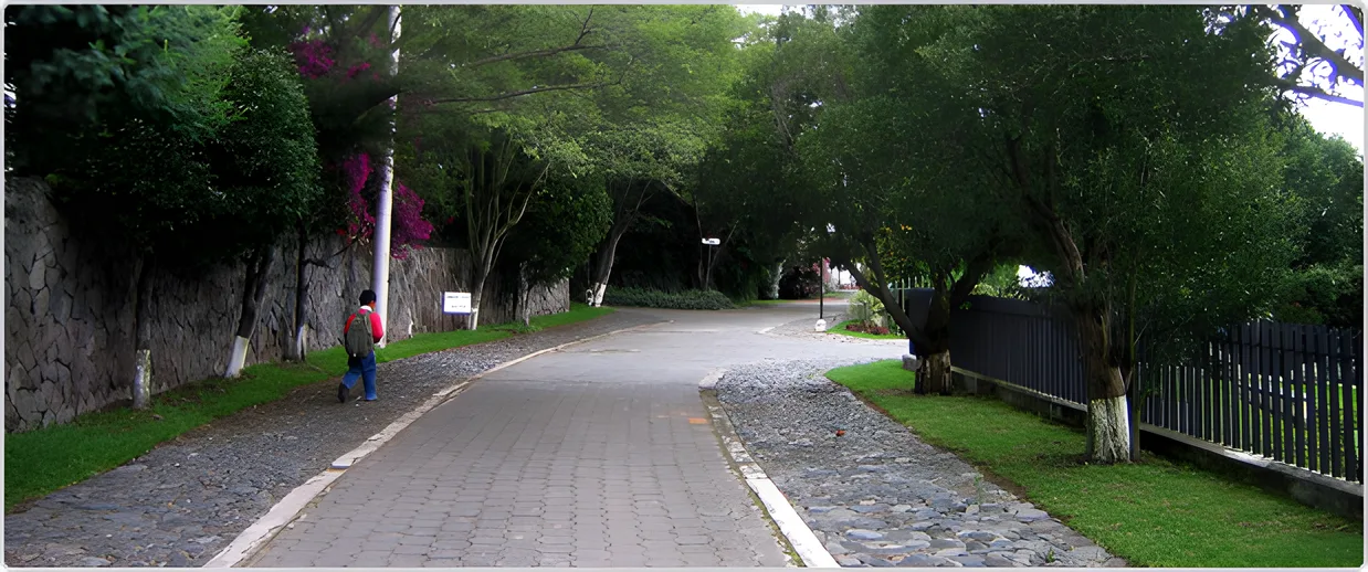 Calle empedrada bordeada de árboles y muros de piedra, Portal de Cumbayá 1