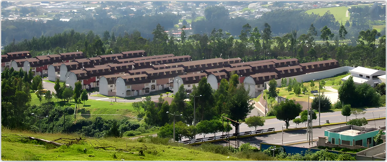 Vista desde lo alto de las filas de casas del conjunto entre árboles y verdor, Ciudad Jardín 1
